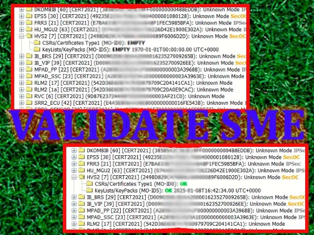 validate-sme-main.webp