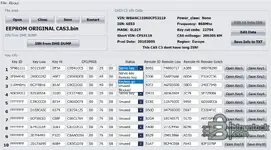 Using the CAS3 Editor to read the ISN from a BMW DME dump, such as an MSV70 or ME9.2, for easy module synchronization.