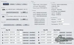 Using the CAS4 1L15Y Editor to directly edit the 16-byte CAS Secret Key (SK) and the ECU's ISN, a critical step for advanced repairs and module cloning.