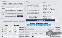 The key data editing section of the CAS4 Editor, highlighting the options to change a key's remote frequency (e.g., 433 to 868 MHz) and modify its remote ID.