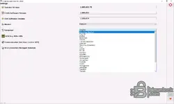 Honda HDS i-HDS Diagnostic 1.009.001 settings screen