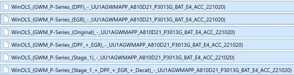 GWM_UU1AGWMAPP_A810D21_P3013G_8AT_E4_ACC_221020.webp