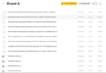 A list of firmware files (.bin and .sgo) inside the Brand-A (Audi) folder of the VAG Flash Data collection.