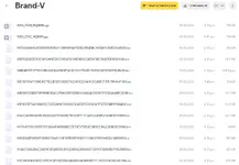 A list of firmware files (.bin and .sgo) inside the Brand-V (Volkswagen) folder of the VAG Flash Data collection. A list of firmware files (.bin and .sgo) inside the Brand-V (Volkswagen) folder of the VAG Flash Data collection.