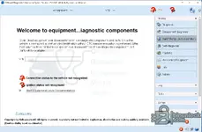The Build Status Documentation or equipment diagnostic mode in ODIS Service 25.0.3.