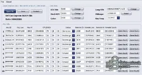 The main interface of the BMW CAS1 EEPROM Editor, showing the decoded CAS data like ISN and VIN, and a detailed list of 10 key slots with their status.