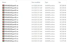 Multi-part RAR archives for DVDA9024-20 (DVD003) in Windows Explorer. Multi-part RAR archives for DVDA9024-20 (DVD003) in Windows Explorer.