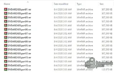 Multi-part RAR archives for DVDA9024-20 (DVD003) in Windows Explorer.