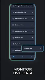 Carista customization menu for lights, DRL, Coming/Leaving Home, locking confirmations and mirrors.