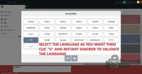 Version 9.85 language change guide with selection screen and confirmation steps.