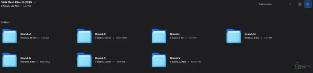 VAG Flash Files 11.2025 collection with ECU flash archives grouped by brand folders