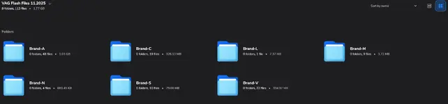 VAG Flash Files 11.2025 collection with ECU flash archives grouped by brand folders