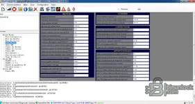 RenOLink 1.99 live data screen with engine parameters via KWP2000, showing injection and sensor values.