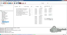 RenOLink 1.99 parameter sheet with adaptation values and fault reset options for ECU service diagnostics.