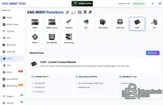 VAG IMMO Tool CCM Comfort Control Module: decrypt and edit immobilizer (IMMO) data, cloning-style workflow; requires EEPROM file; compatible with VW Passat B6, Passat B7, Passat CC.