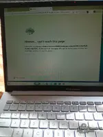 17807592662592502695288383255198.webp