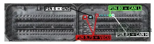IVECO MD1CS069 PINOUT.webp