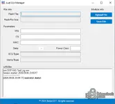 DST VAG IMMO Tool Audi ELV Manager with flash file handling and immobilizer module information.