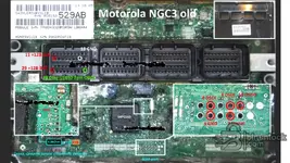 NGC3_BDM. FGaletto.webp