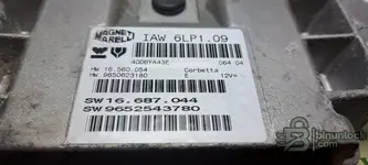 IAW6LP1.09.webp