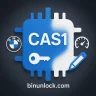 CAS1 Editor v1.1 | BMW ISN, VIN & Mileage Editor (2K79X, 0L01Y)