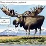 Moose Calculator — Volvo Truck ECU Checksum Tool
