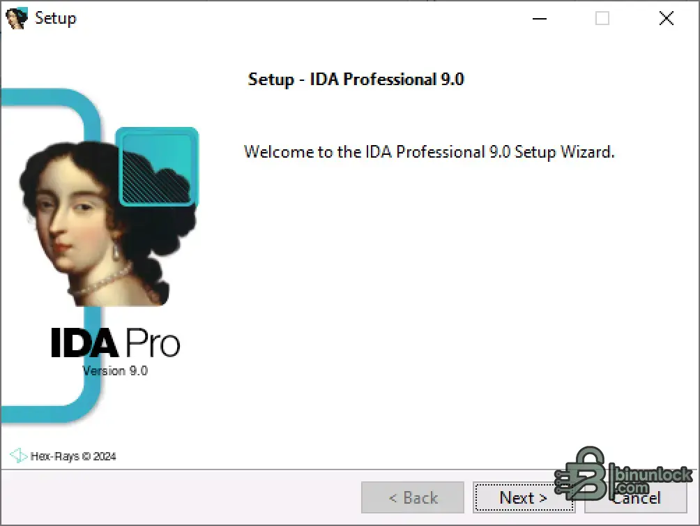 ida-pro-9-0-setup-wizard.webp